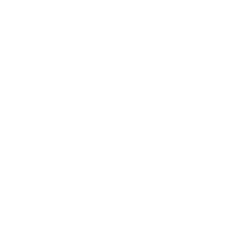 AVA PERFORMANCES